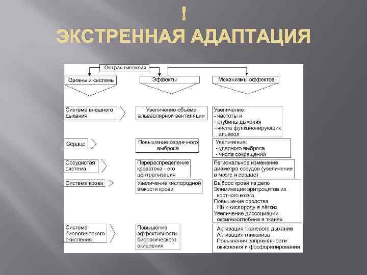   ЭКСТРЕННАЯ АДАПТАЦИЯ 