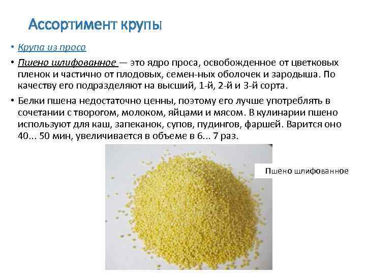 продукт из проросших зерен 5 букв