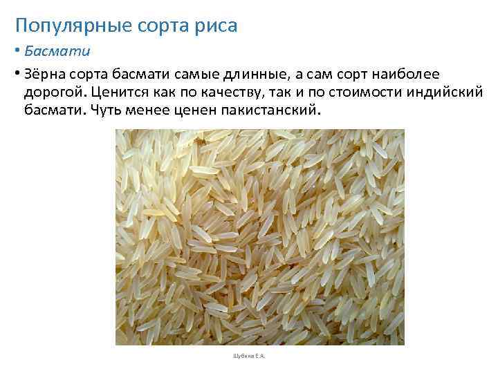 Популярные сорта риса • Басмати • Зёрна сорта басмати самые длинные, а сам сорт