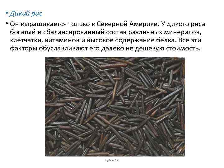  • Дикий рис • Он выращивается только в Северной Америке. У дикого риса