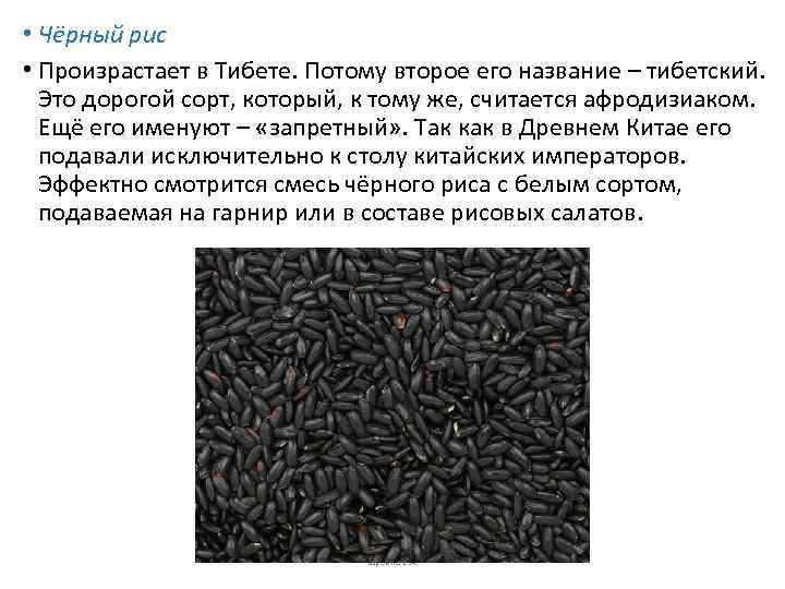  • Чёрный рис • Произрастает в Тибете. Потому второе его название – тибетский.