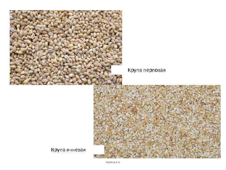      Крупа перловая Крупа ячневая   Шубина Е. А.
