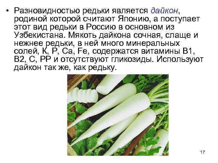  • Разновидностью редьки является дайкон,  родиной которой считают Японию, а поступает 