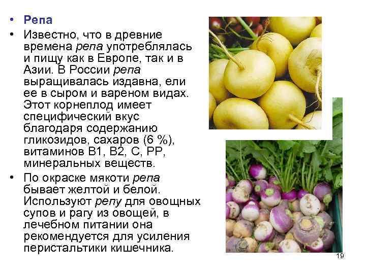  • Репа • Известно, что в древние  времена репа употреблялась  и