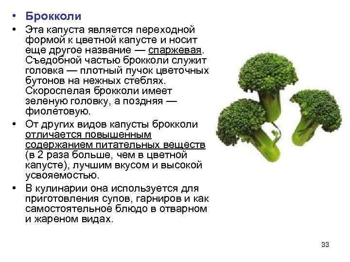  • Брокколи • Эта капуста является переходной  формой к цветной капусте и