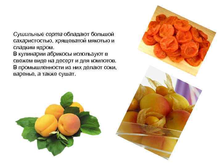 Сушильные сорта обладают большой сахаристостью, хрящеватой мякотью и сладким ядром. В кулинарии абрикосы используют