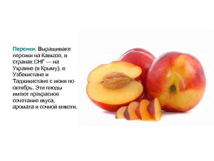 Персики. Выращивают персики на Кавказе, в странах СНГ — на Украине (в Крыму), в