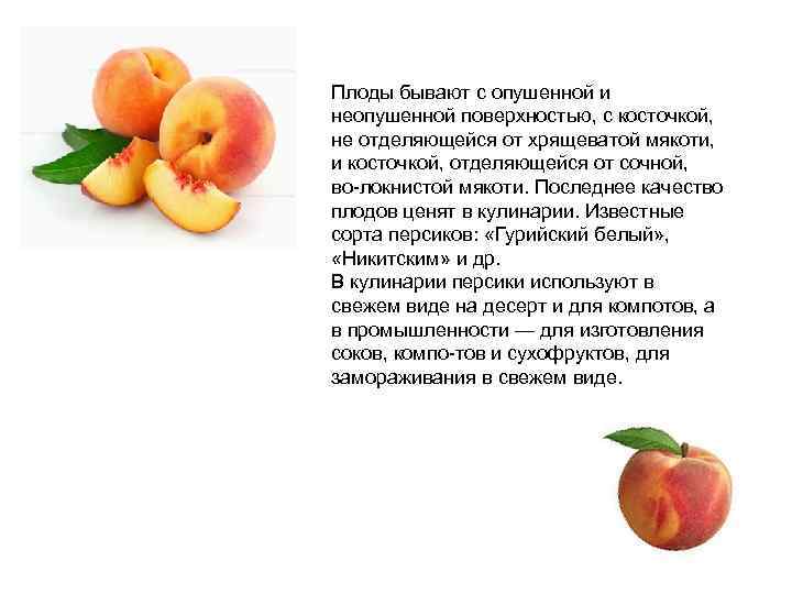 Плоды бывают с опушенной и неопушенной поверхностью, с косточкой, не отделяющейся от хрящеватой мякоти,