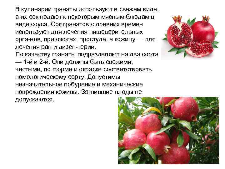 В кулинарии гранаты используют в свежем виде, а их сок подают к некоторым мясным