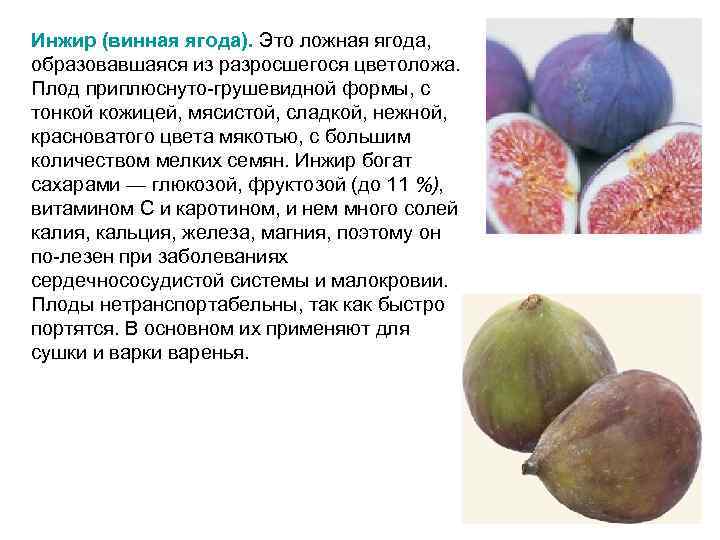Инжир (винная ягода). Это ложная ягода, образовавшаяся из разросшегося цветоложа. Плод приплюснуто грушевидной формы,