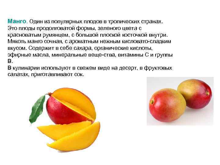 Манго. Один из популярных плодов в тропических странах. Это плоды продолговатой формы, зеленого цвета