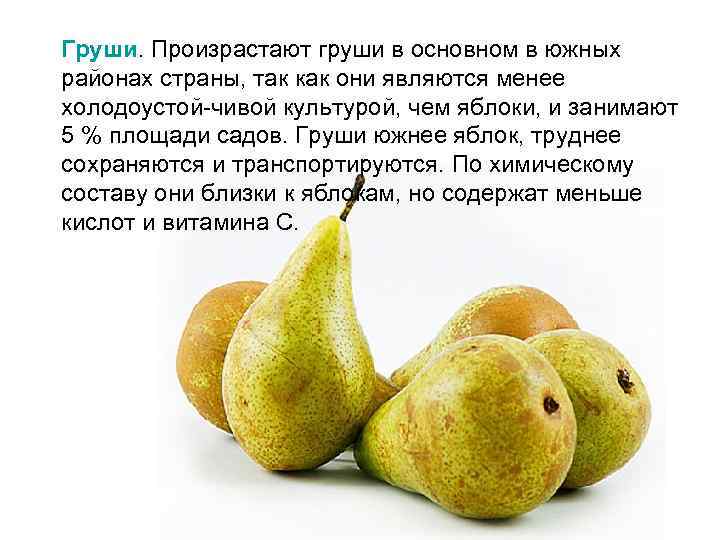 Груши. Произрастают груши в основном в южных районах страны, так как они являются менее