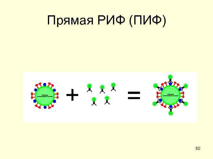 Прямая РИФ (ПИФ)    50 