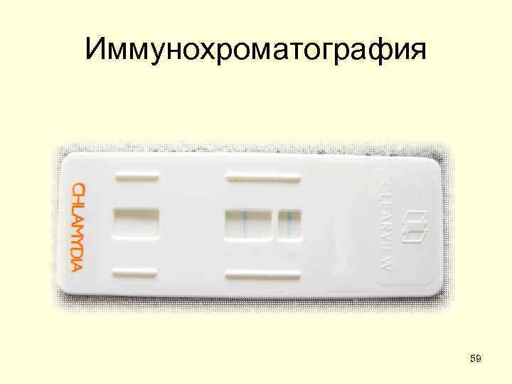 Иммунохроматография      59 