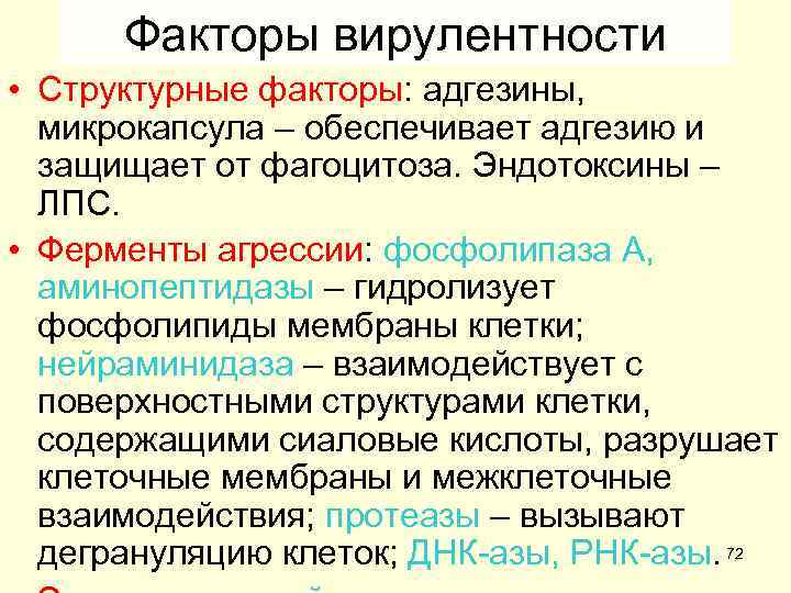  Факторы вирулентности • Структурные факторы: адгезины,  микрокапсула – обеспечивает адгезию и 