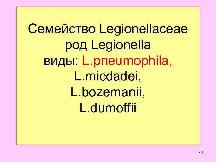 Семейство Legionellaceae род Legionella  виды: L. pneumophila,   L. micdadei,  L.