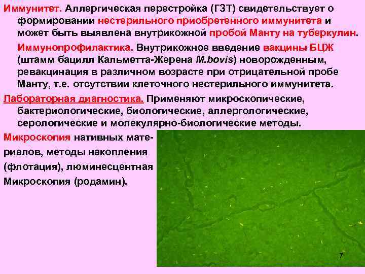 Иммунитет. Аллергическая перестройка (ГЗТ) свидетельствует о  формировании нестерильного приобретенного иммунитета и  может