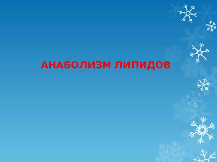 АНАБОЛИЗМ ЛИПИДОВ 