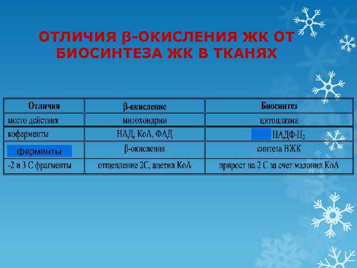   ОТЛИЧИЯ β-ОКИСЛЕНИЯ ЖК ОТ БИОСИНТЕЗА ЖК В ТКАНЯХ ферменты 