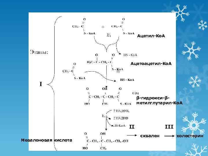       Ацетил-Ко. А      Ацетоацетил-Ко.