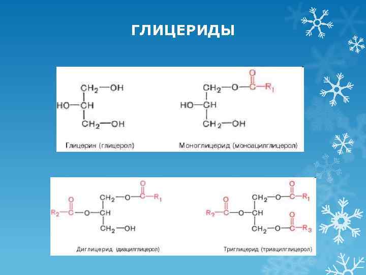 ГЛИЦЕРИДЫ 