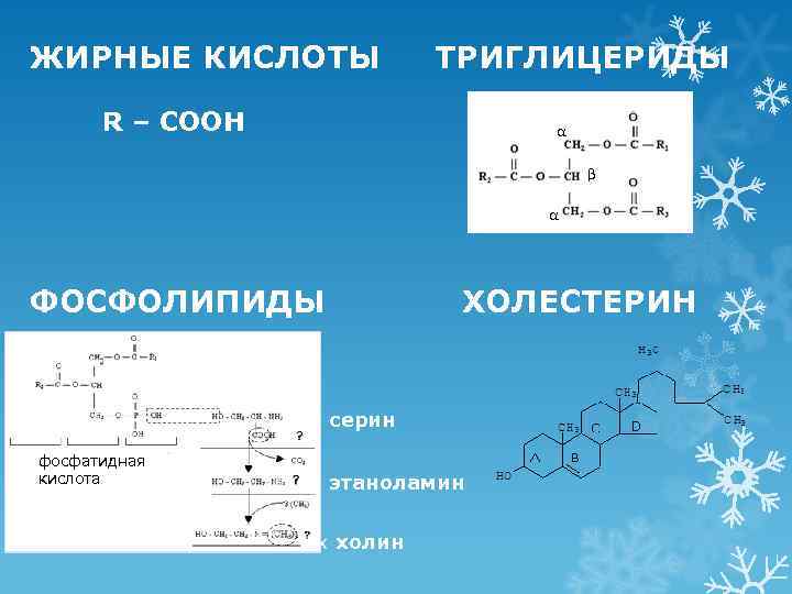 ЖИРНЫЕ КИСЛОТЫ     ТРИГЛИЦЕРИДЫ  R – COOH ФОСФОЛИПИДЫ  