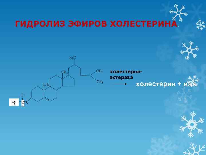 ГИДРОЛИЗ ЭФИРОВ ХОЛЕСТЕРИНА:     холестерол-   эстераза   