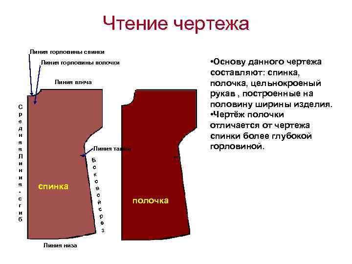       Чтение чертежа Линия горловины спинки  Линия горловины
