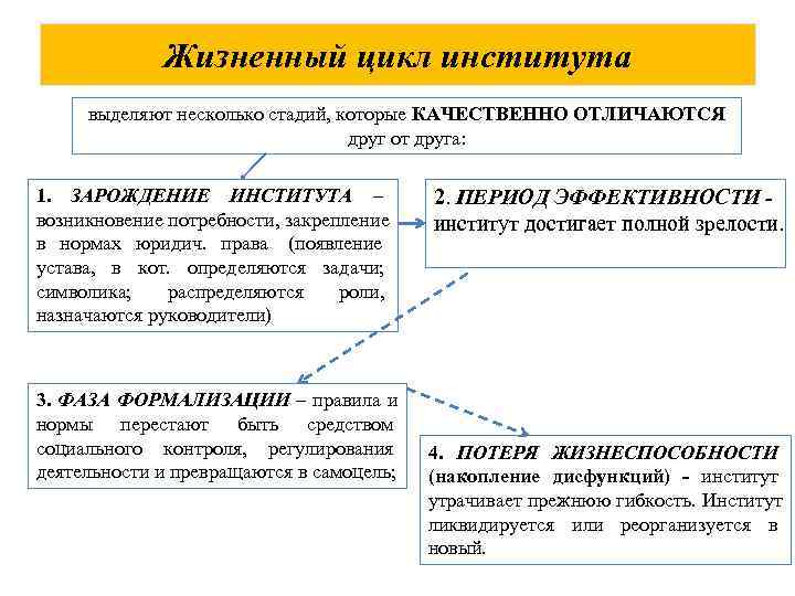    Жизненный цикл института выделяют несколько стадий, которые КАЧЕСТВЕННО ОТЛИЧАЮТСЯ  