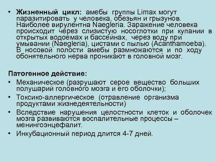  • Жизненный цикл:  амебы группы Limax могут паразитировать у человека, обезьян и
