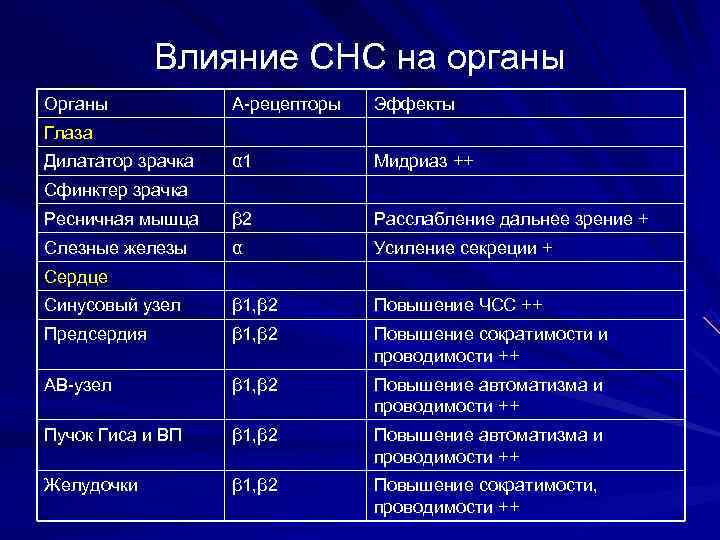    Влияние СНС на органы Органы   А-рецепторы  Эффекты Глаза