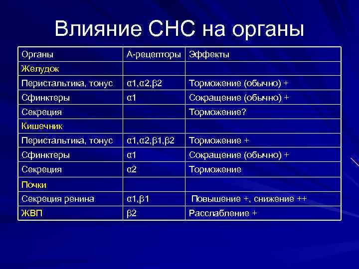    Влияние СНС на органы Органы   А-рецепторы Эффекты Желудок Перистальтика,