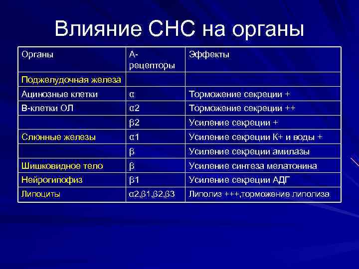    Влияние СНС на органы Органы   А-  Эффекты 