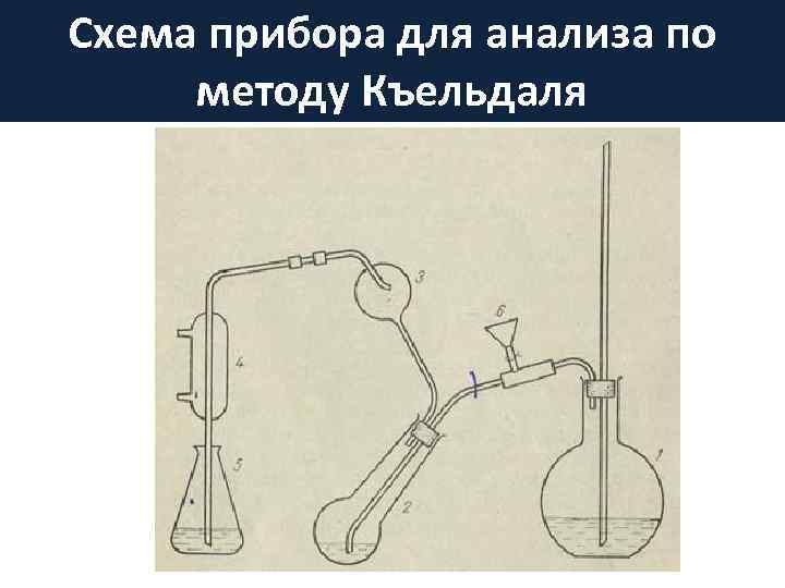 Ализин при пиометре схема