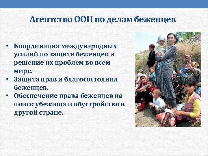  Агентство ООН по делам беженцев  • Координация международных  усилий по защите