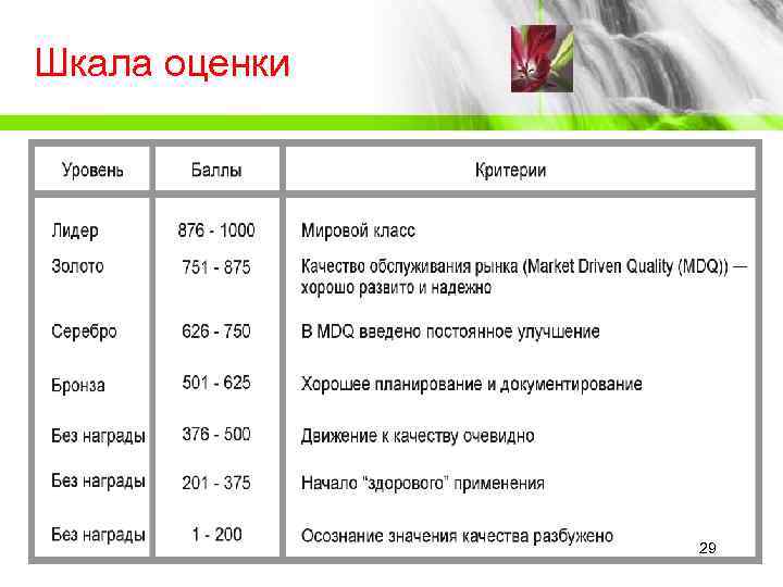 Шкала оценки    29 