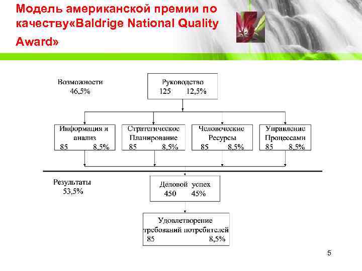 Модель американской премии по качеству «Baldrige National Quality Award»    5 