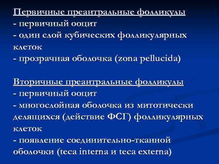 Первичные преантральные фолликулы - первичный ооцит - один слой кубических фолликулярных клеток - прозрачная Первичные преантральные фолликулы - первичный ооцит - один слой кубических фолликулярных клеток - прозрачная