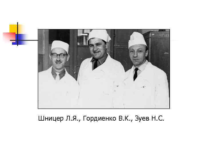 Шницер Л. Я. , Гордиенко В. К. , Зуев Н. С. 