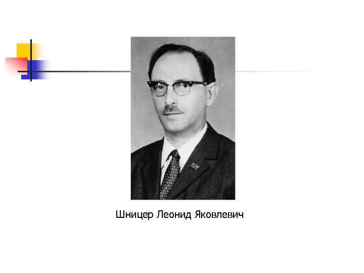 Шницер Леонид Яковлевич 