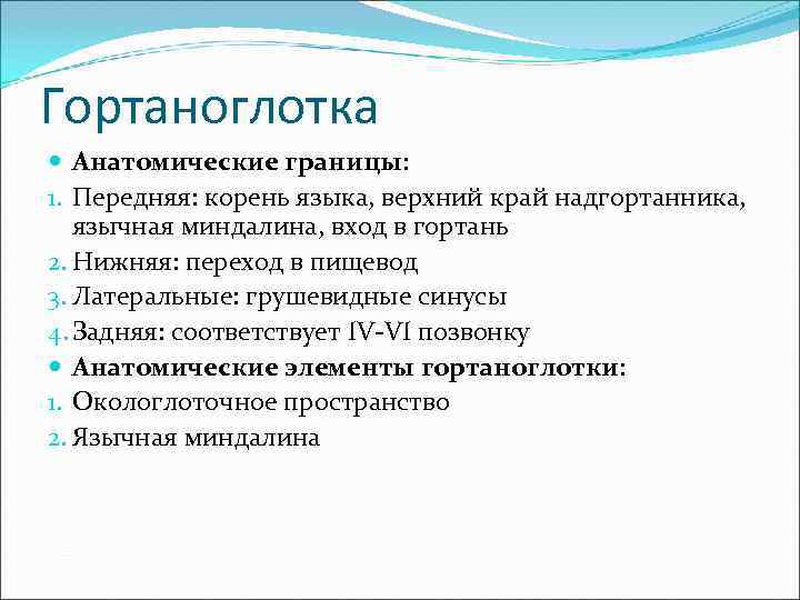 Гортаноглотка  Анатомические границы: 1. Передняя: корень языка, верхний край надгортанника, язычная миндалина, вход