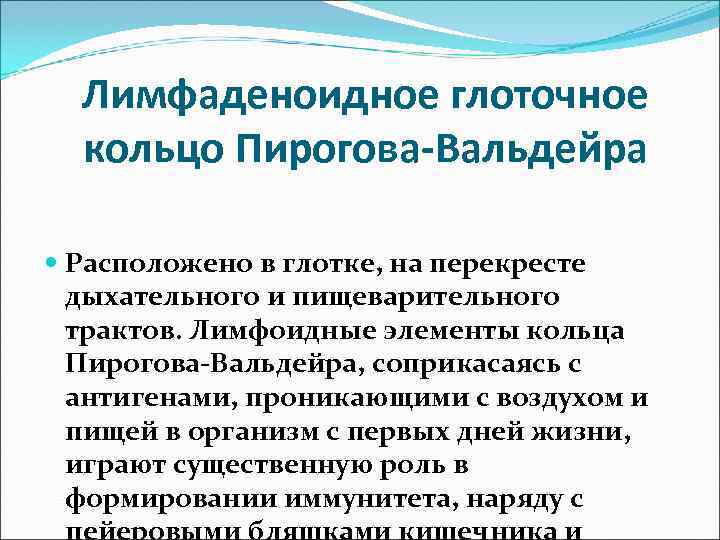  Лимфаденоидное глоточное  кольцо Пирогова-Вальдейра  Расположено в глотке, на перекресте  дыхательного
