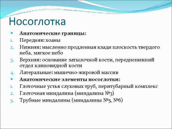 Носоглотка Анатомические границы: 1.  Передняя: хоаны 2.  Нижняя: мысленно продленная кзади плоскость