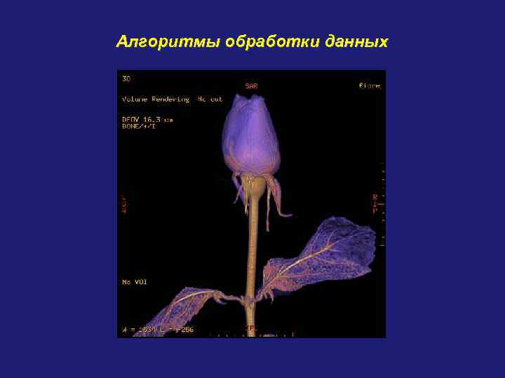 Алгоритмы обработки данных 