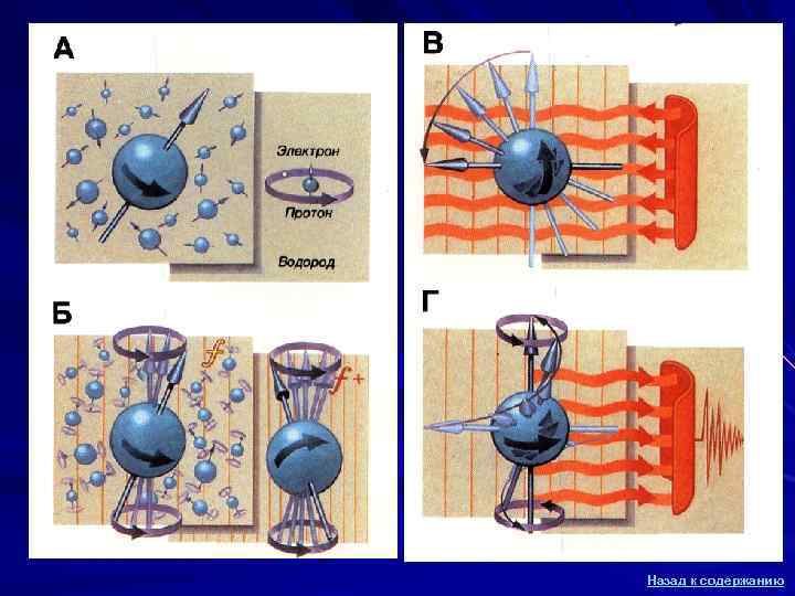 Назад к содержанию Назад к содержанию
