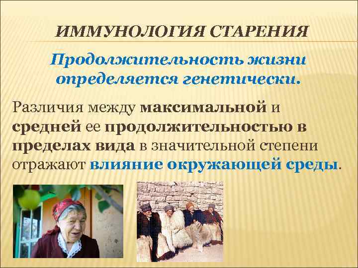   ИММУНОЛОГИЯ СТАРЕНИЯ Продолжительность жизни определяется генетически. Различия между максимальной и средней ее