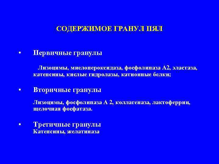   СОДЕРЖИМОЕ ГРАНУЛ ПЯЛ  •  Первичные гранулы    Лизоцимы,