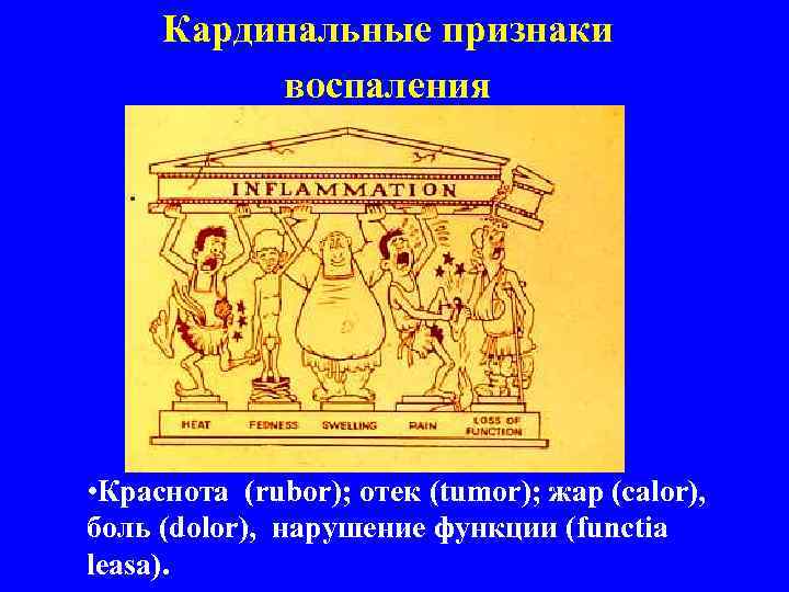  Кардинальные признаки  воспаления  • Краснота (rubor); отек (tumor); жар (calor), 