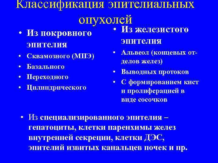 Классификация эпителиальных   опухолей • Из покровного   • Из железистого 