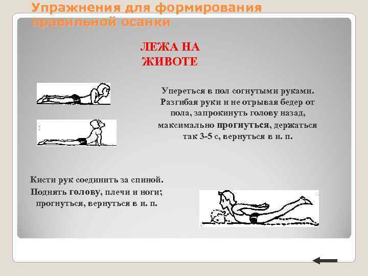 Упражнения для формирования правильной осанки ЛЕЖА НА Упражнения для формирования правильной осанки ЛЕЖА НА